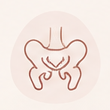Ícone de Fisioterapia Pélvica